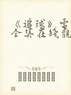 《追球》电视剧全集在线观看