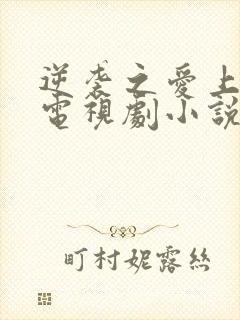 逆袭之爱上情敌电视剧小说在线阅读