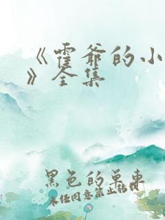 《霍爷的小甜妻》全集