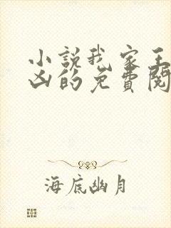 小说我家王妃超凶的免费阅读