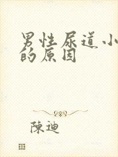 男性尿道小水泡的原因