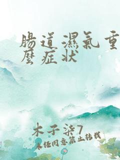 肠道湿气重有什么症状