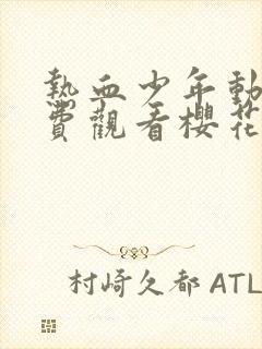 热血少年动漫免费观看樱花