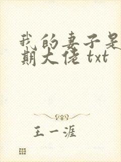 我的妻子是大乘期大佬 txt