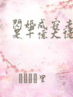 闪婚成宠老公竟是千亿大佬