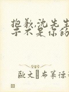 抱歉,沈先生孩子不是你的