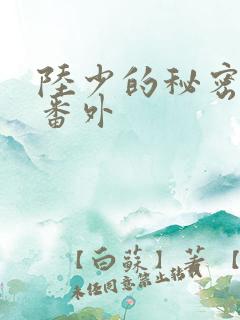 陆少的秘密恋人番外