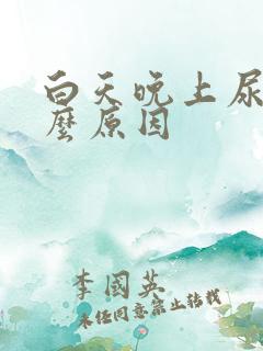 白天晚上尿频什么原因