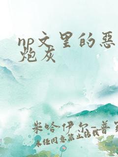 np文里的恶毒炮灰