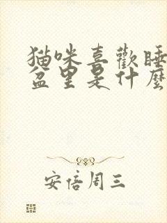 猫咪喜欢睡猫砂盆里是什么原因