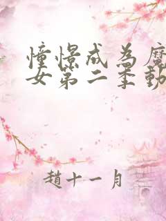 憧憬成为魔法少女第二季动画免费观看