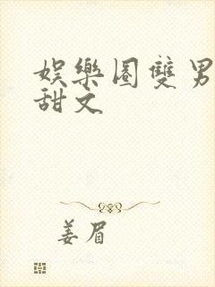 娱乐圈双男主文甜文