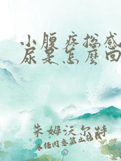 小腹疼总感觉有尿是怎么回事