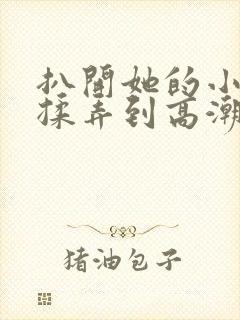 扒开她的小内裤揉弄到高潮视频