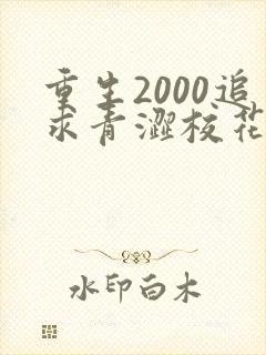 重生2000追求青涩校花同桌开始在线全文阅读