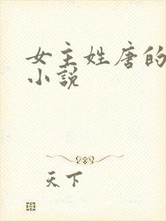 女主姓唐的快穿小说