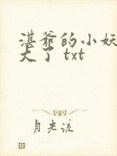 湛爷的小妖精长大了 txt