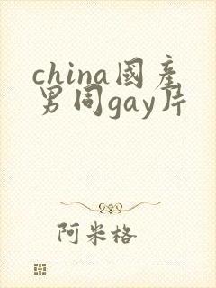 china国产男同gay片