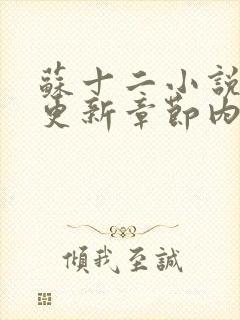 苏十二小说最新更新章节内容