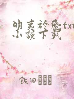 明夷于飞txt小说下载