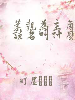 叶观为主角的小说名叫什么