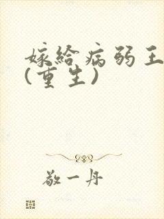 嫁给病弱王爷后(重生)