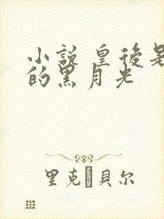 小说 皇后是朕的黑月光