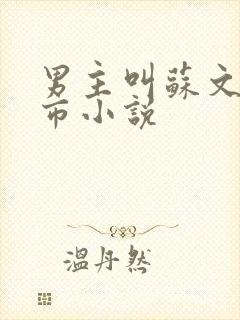 男主叫苏文的都市小说