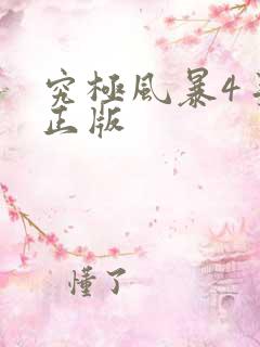 究极风暴4手机正版