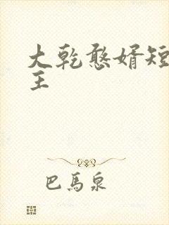 大乾憨婿短剧男主