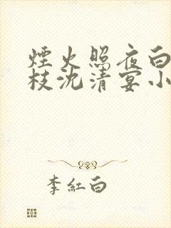 烟火照夜白温南枝沈清宴小说