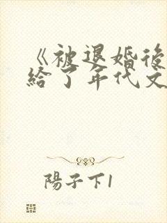 《被退婚后我嫁给了年代文大佬》
