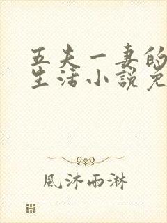 五夫一妻的幸福生活小说免费阅读全文