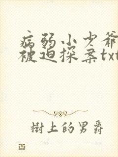 病弱小少爷又在被迫探案txt