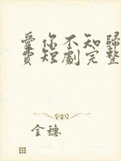 爱你不知归途免费短剧完整版免费看