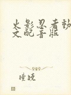 火影忍者动漫中文配音版