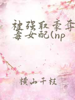 被强取豪夺的恶毒女配(np