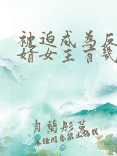 被迫成为反派赘婿女主有几个