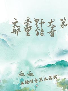 文豪野犬第一季哪里能看