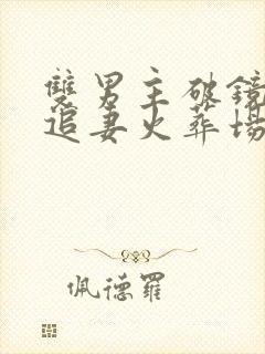 双男主破镜重圆追妻火葬场