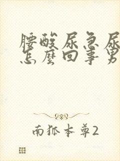 腰酸尿急尿频是怎么回事男性