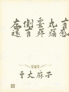 左侧睾丸有点肿还有疼痛感