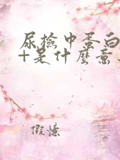 尿检中蛋白质2+是什么意思