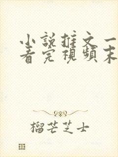 小说推文一口气看完视频末世