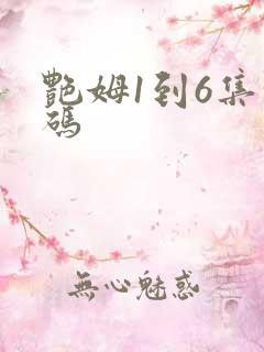 艳姆1到6集转码