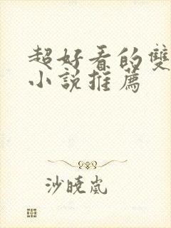 超好看的双男主小说推荐