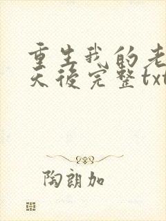 重生我的老婆是天后完整txt下载