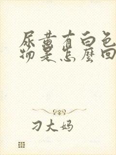 尿黄有白色沉淀物是怎么回事