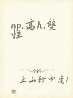 np,高h,双性