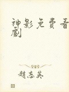 神影免费看电视剧